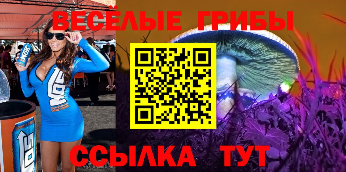 Конаково  купить   Вход с VPN  Псилоцибиновые грибы ЛСД 